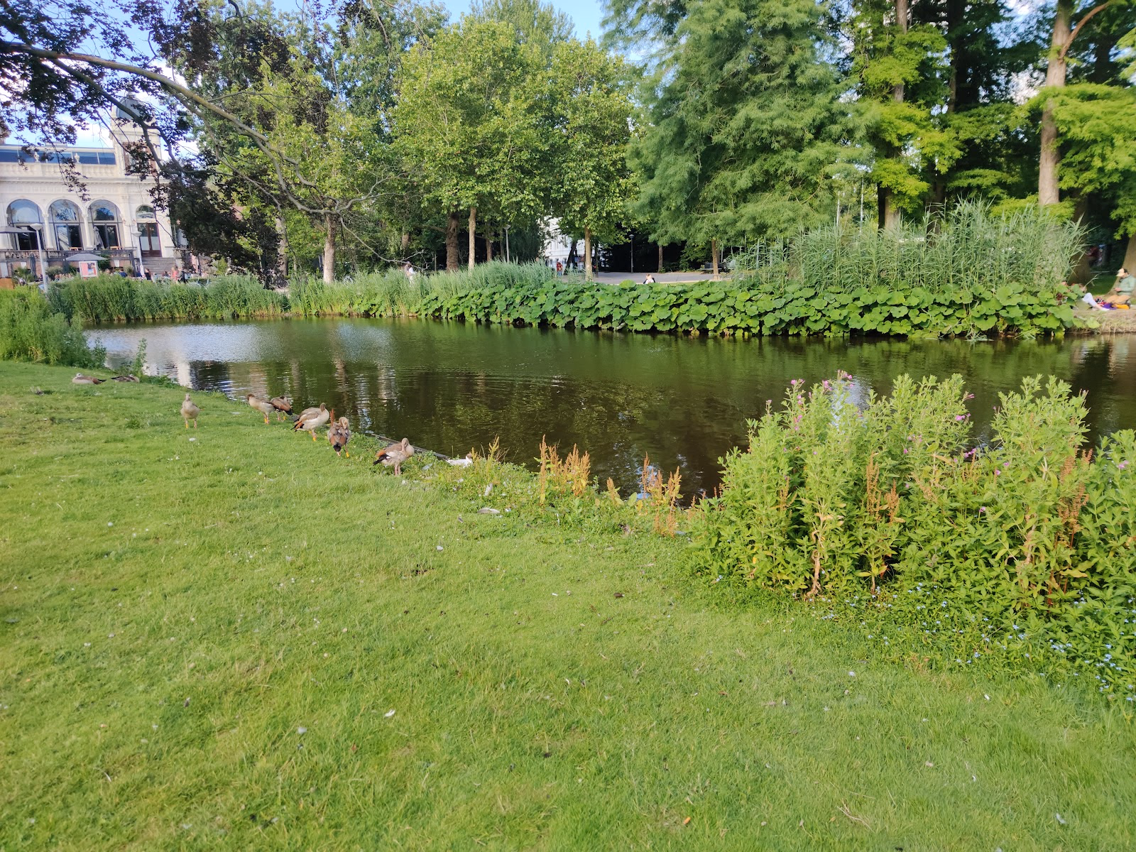 Relax and Recharge at the Vondelpark Paviljoen