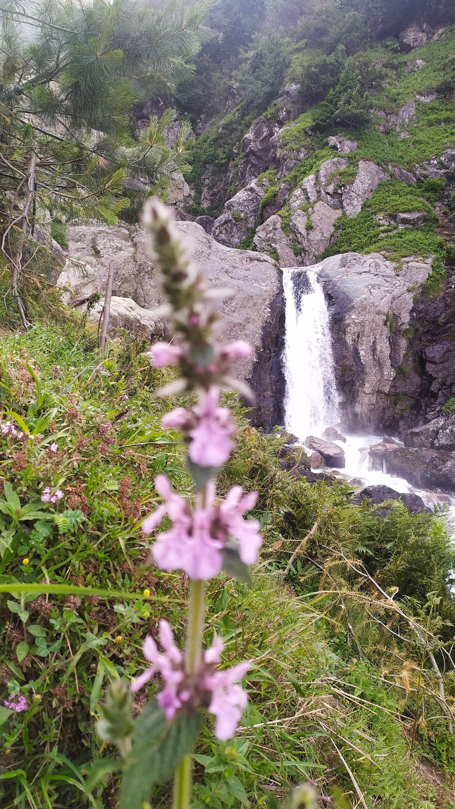 Embrace the Tranquility of Aru Valley