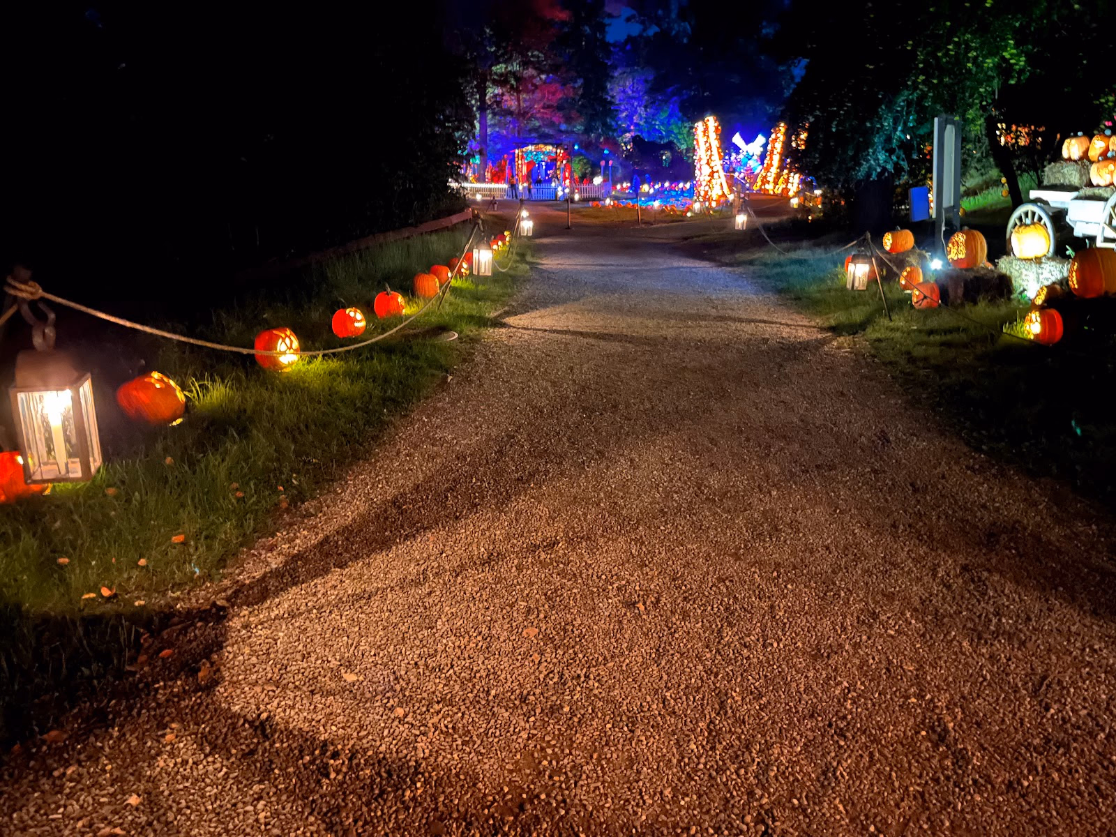 Marvel at Thousands of Hand-Carved Pumpkins