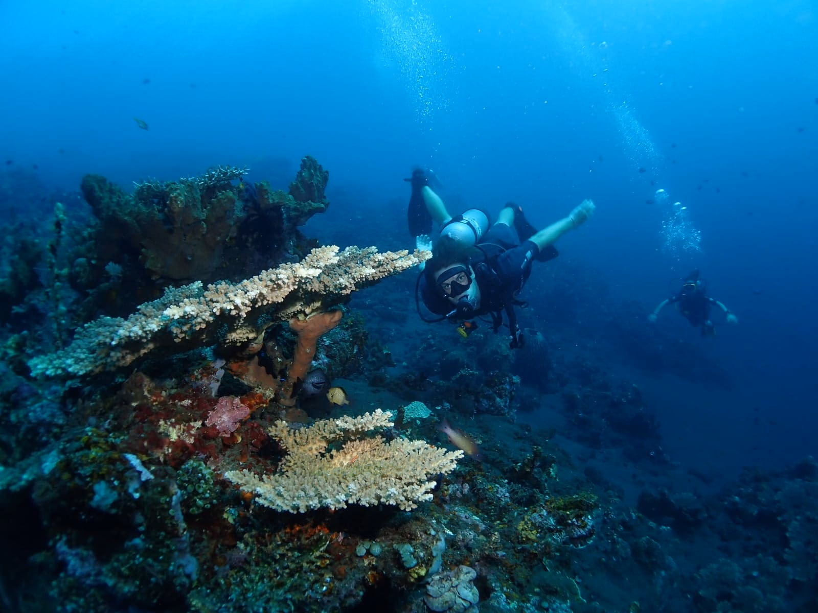 Dive into the Deep at Tulamben