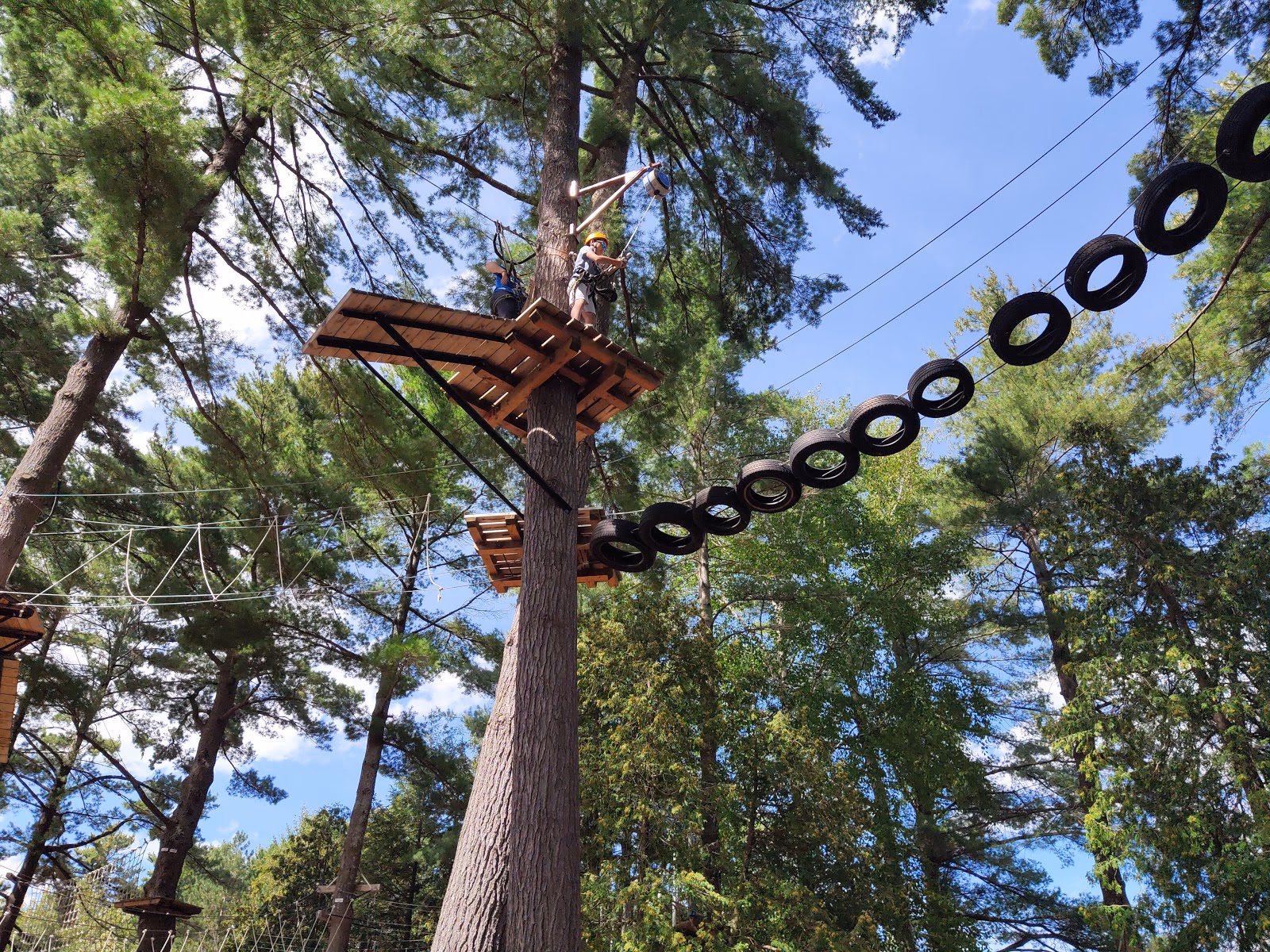 Soar Through the Treetops with Muskoka Zip Lines & Aerial Park