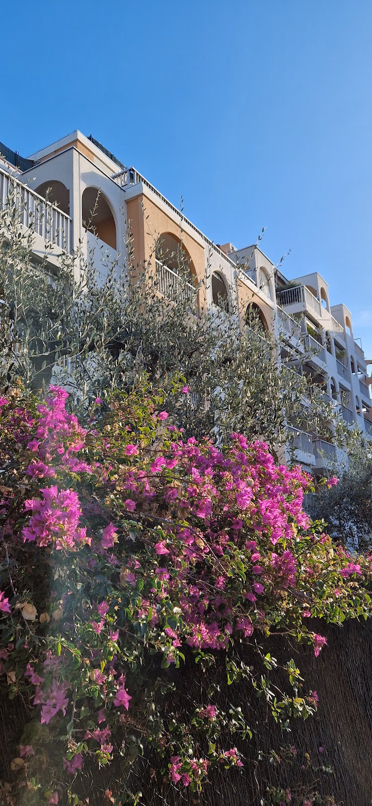 Discover the Charm of the Cimiez Neighborhood
