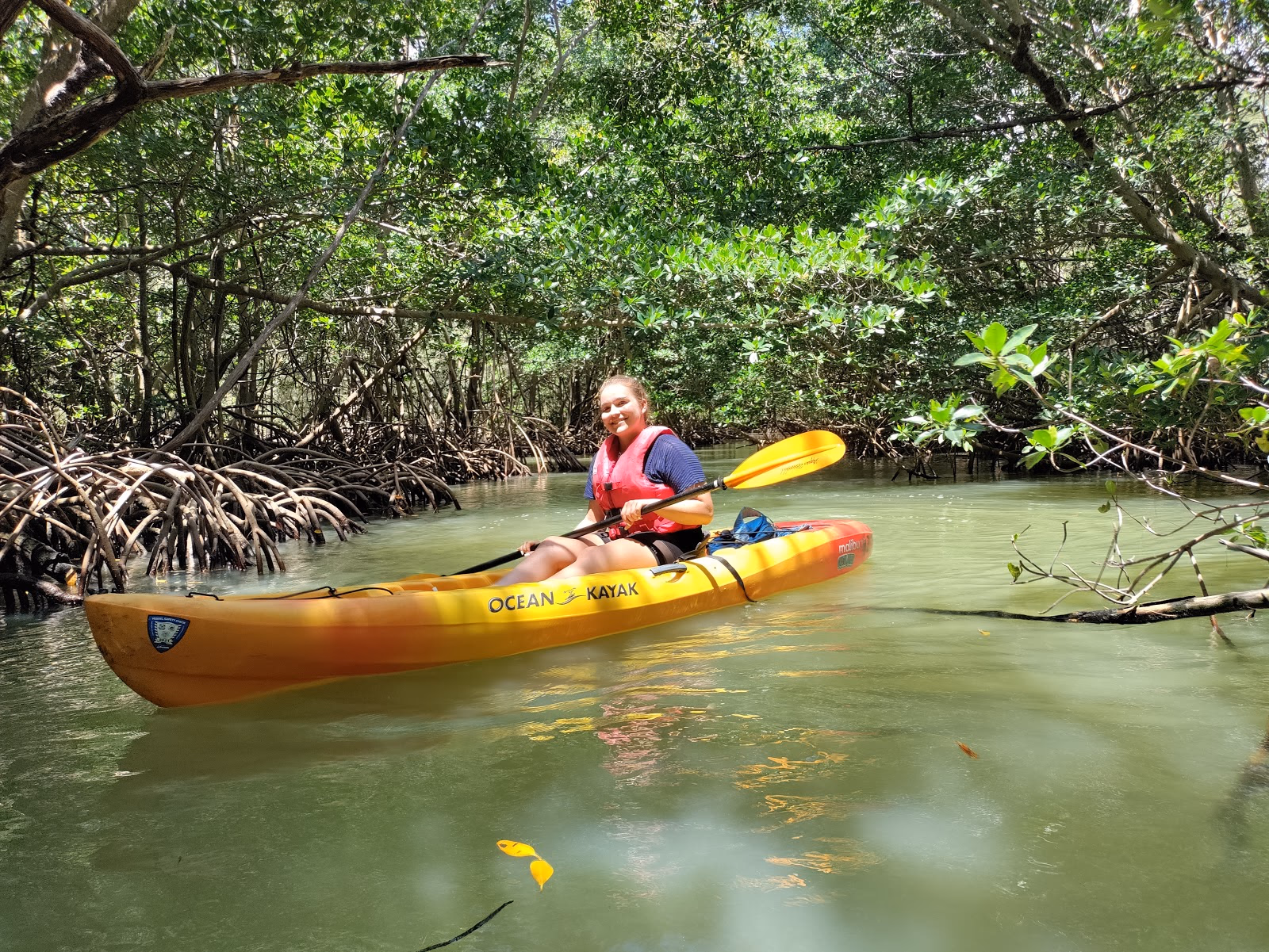 Paddle Through Tranquil Waters