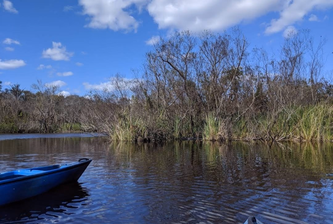 Embark on an Airboat Adventure in the Everglades