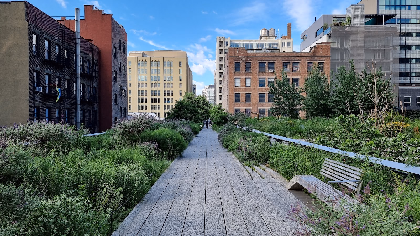 Explore the High Line: A Unique Elevated Park with City Views