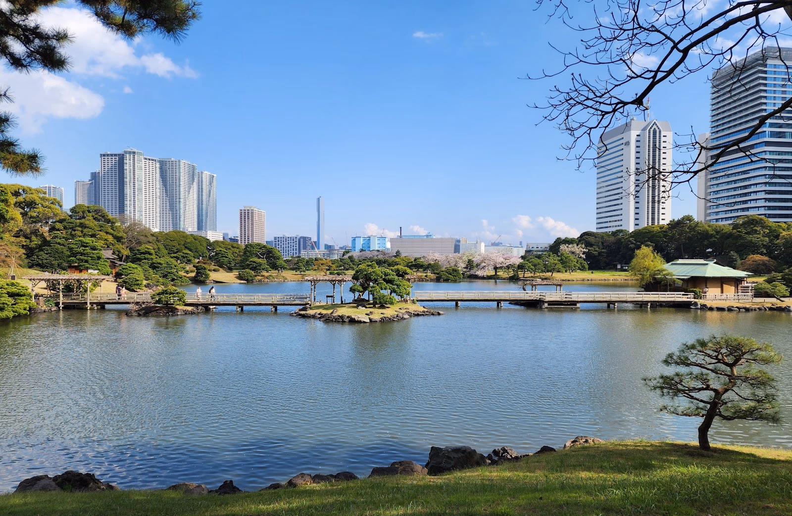 Visit the Hama Rikyu Gardens