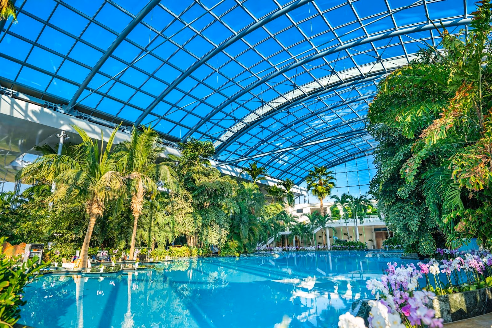 Unwind and Rejuvenate at Therme Bucharest, a Modern Wellness Center
