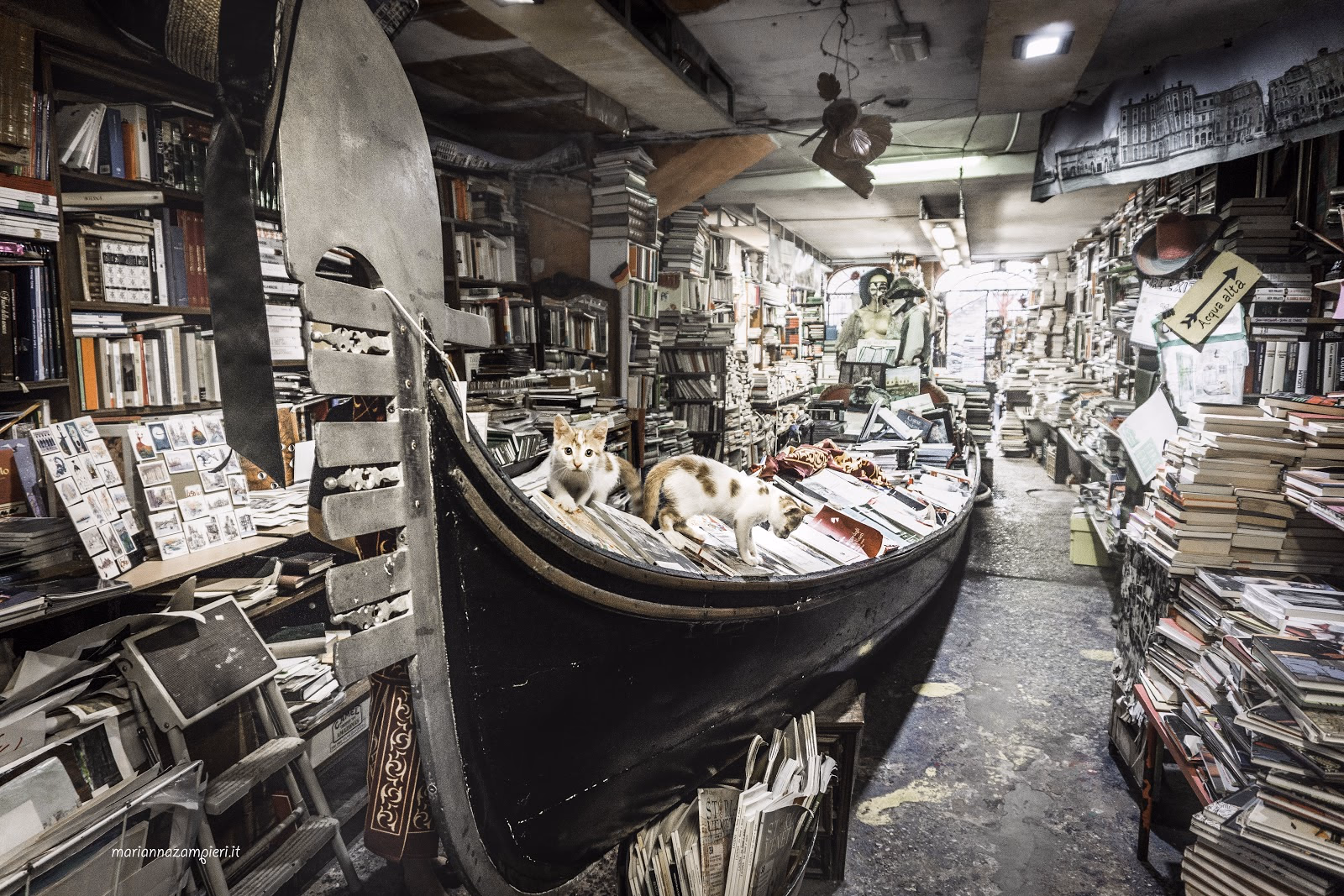 Discover a Unique Bookstore Housed in Bathtubs