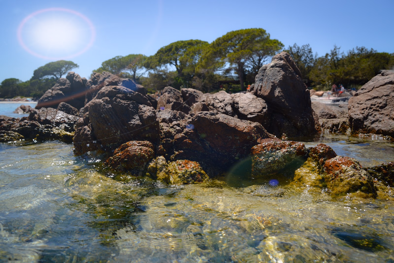 Enjoy the Beauty of Santa Giulia