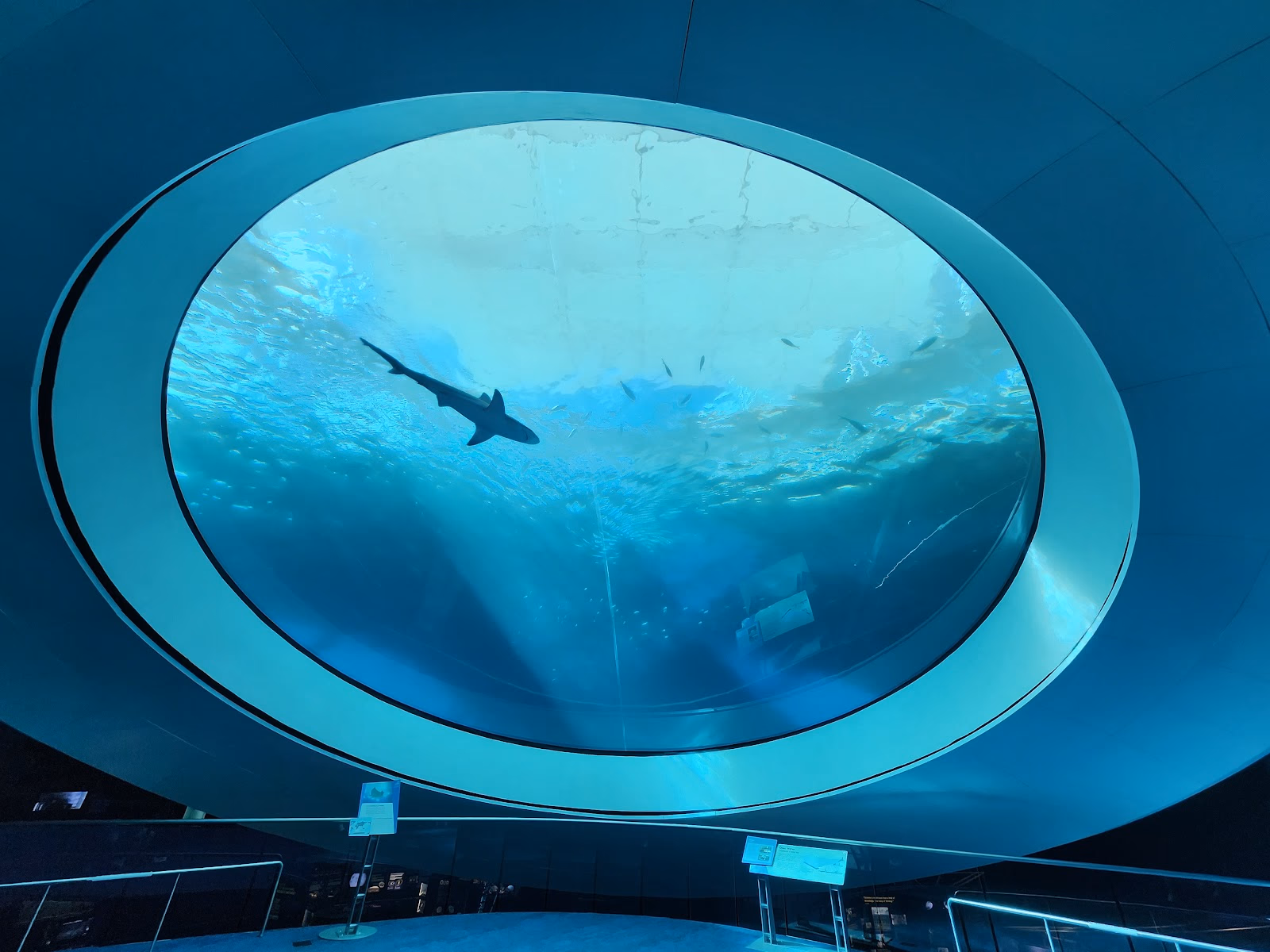 Unleash Your Inner Scientist