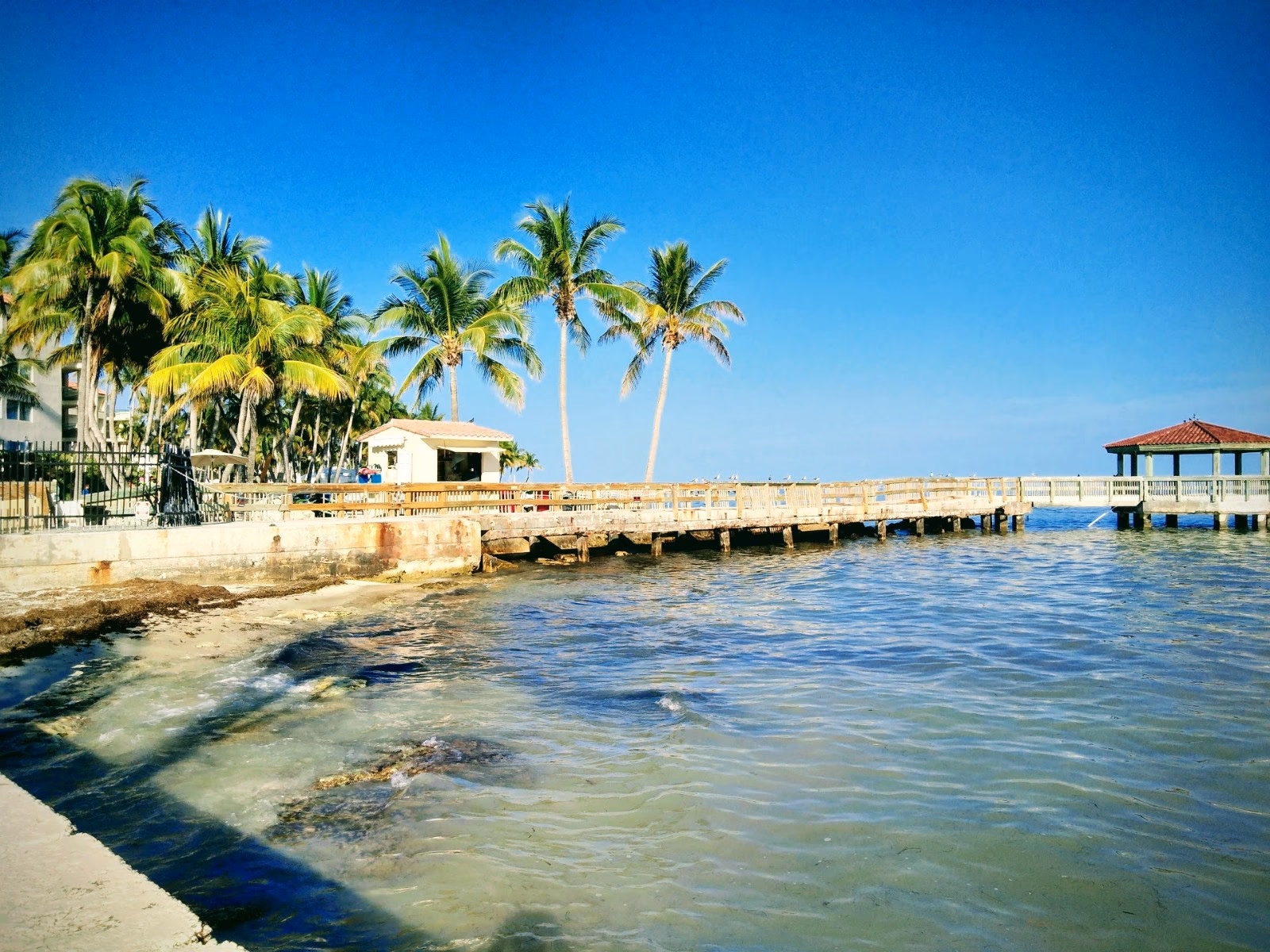 Discover the Laid-Back Charm of Key West