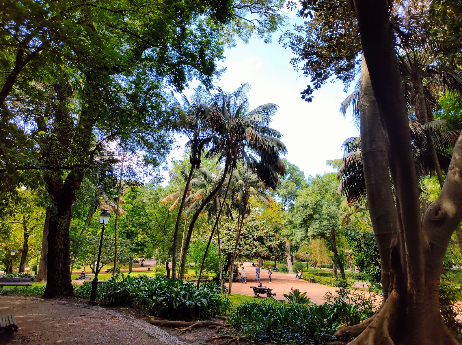 Relax in the Parks