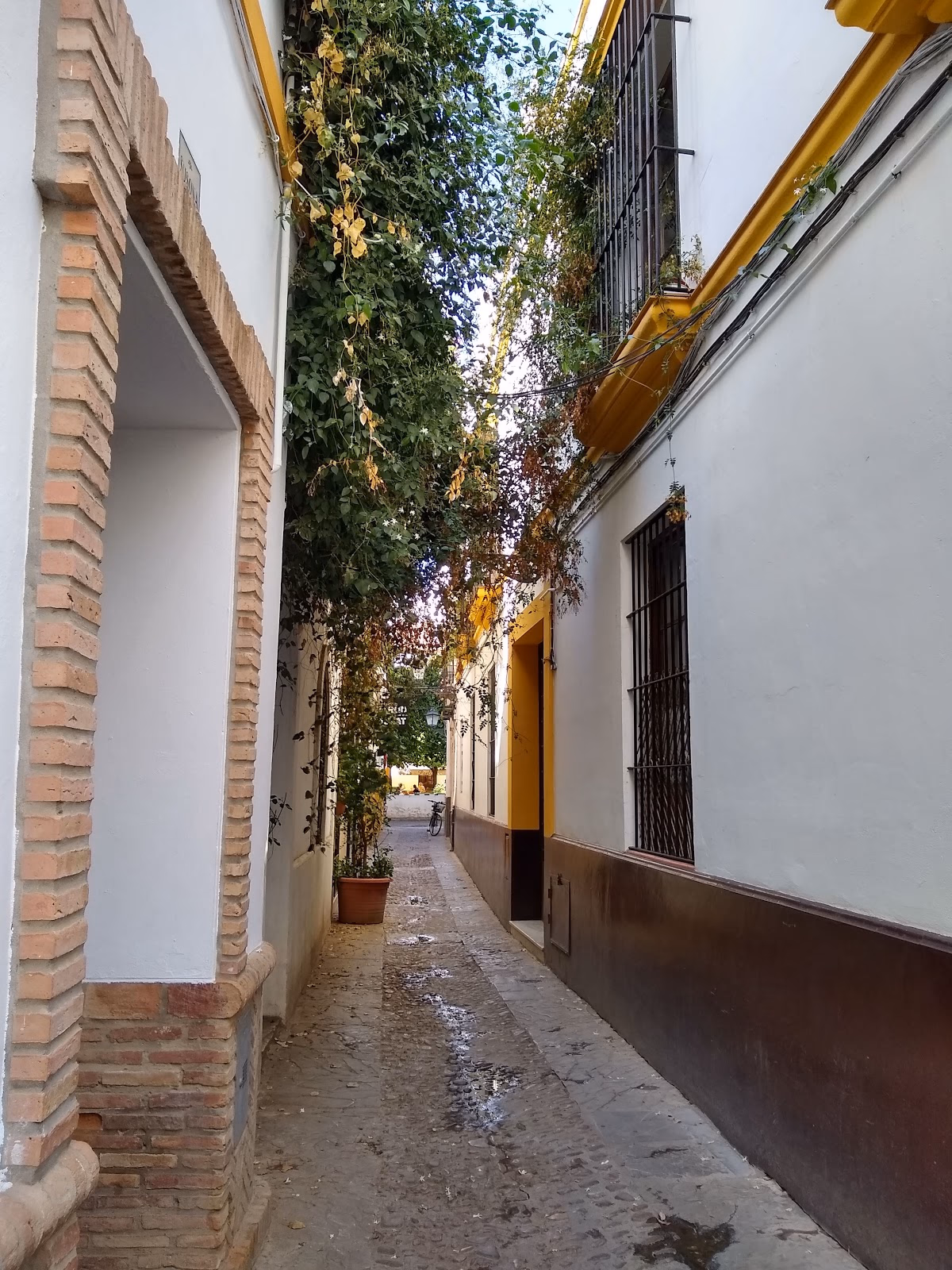 Wander Through the Enchanting Barrio Santa Cruz