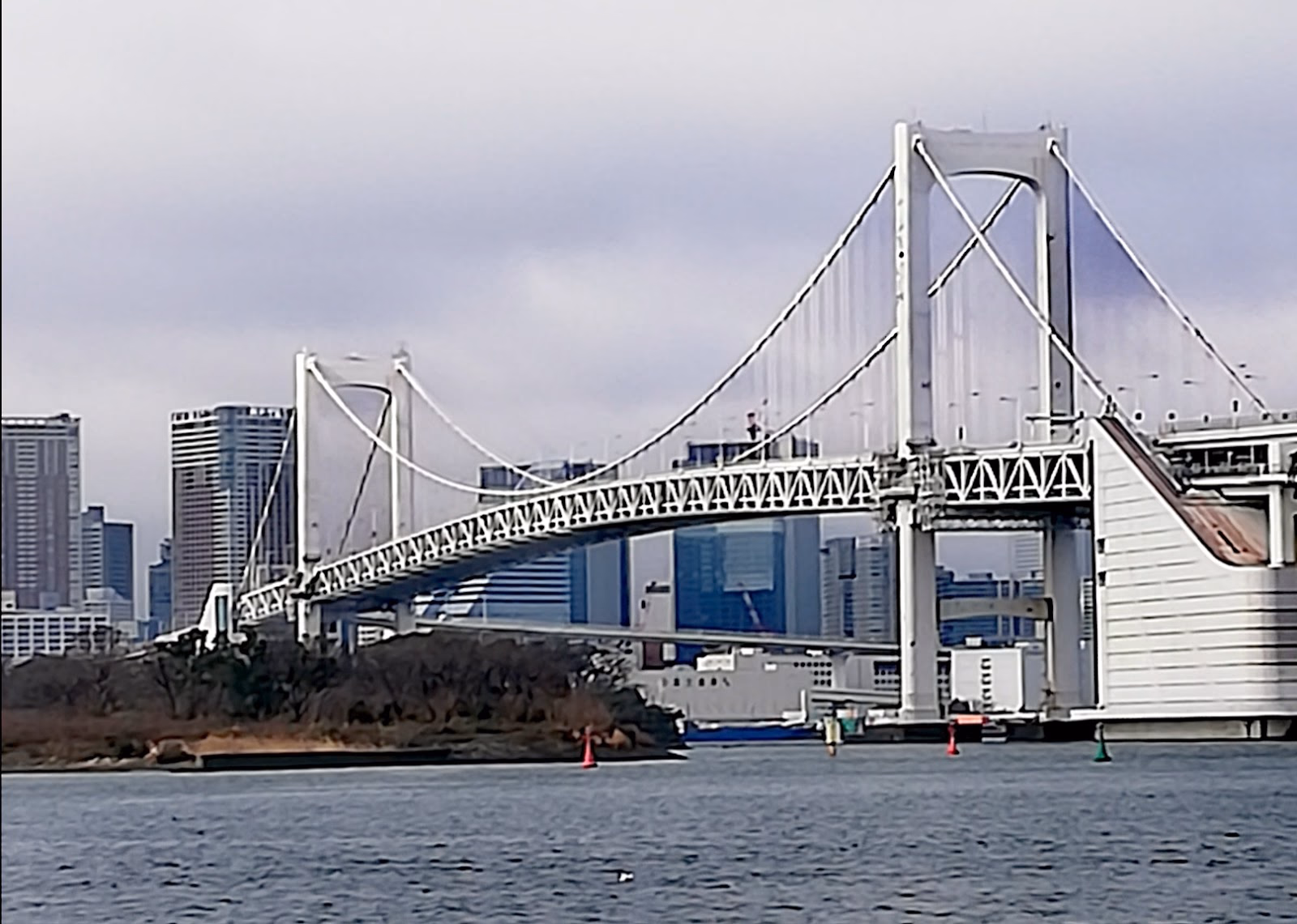 Enjoy a Delicious Dinner and Stunning Views of Tokyo's Skyline