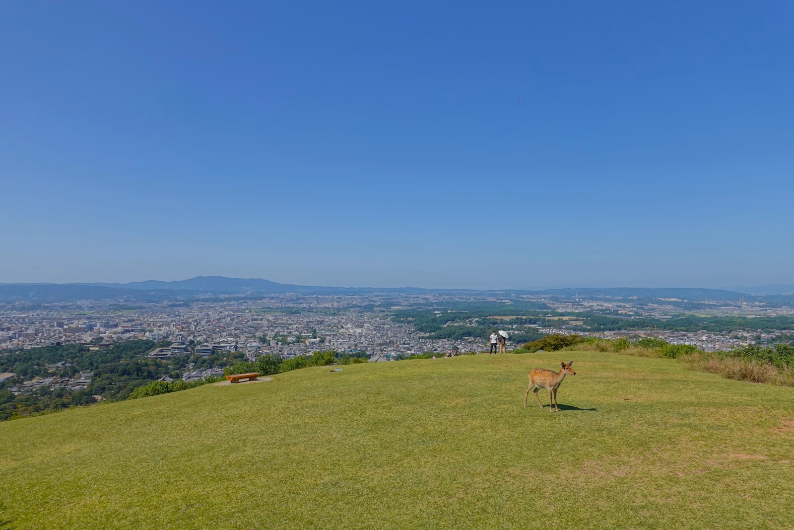 Hike Mount Wakakusa for Panoramic Views