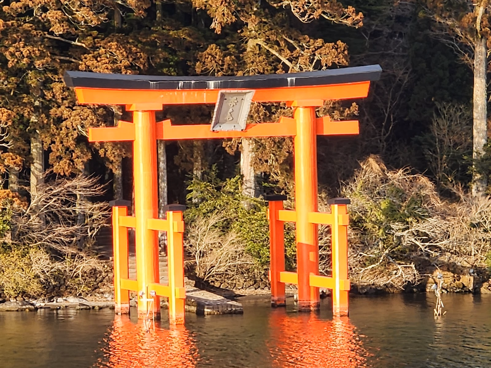 Contemplate at Hakone Shrine
