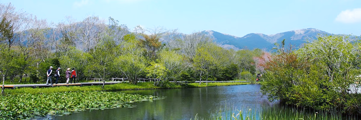 Discover Hakone's Botanical Wonders