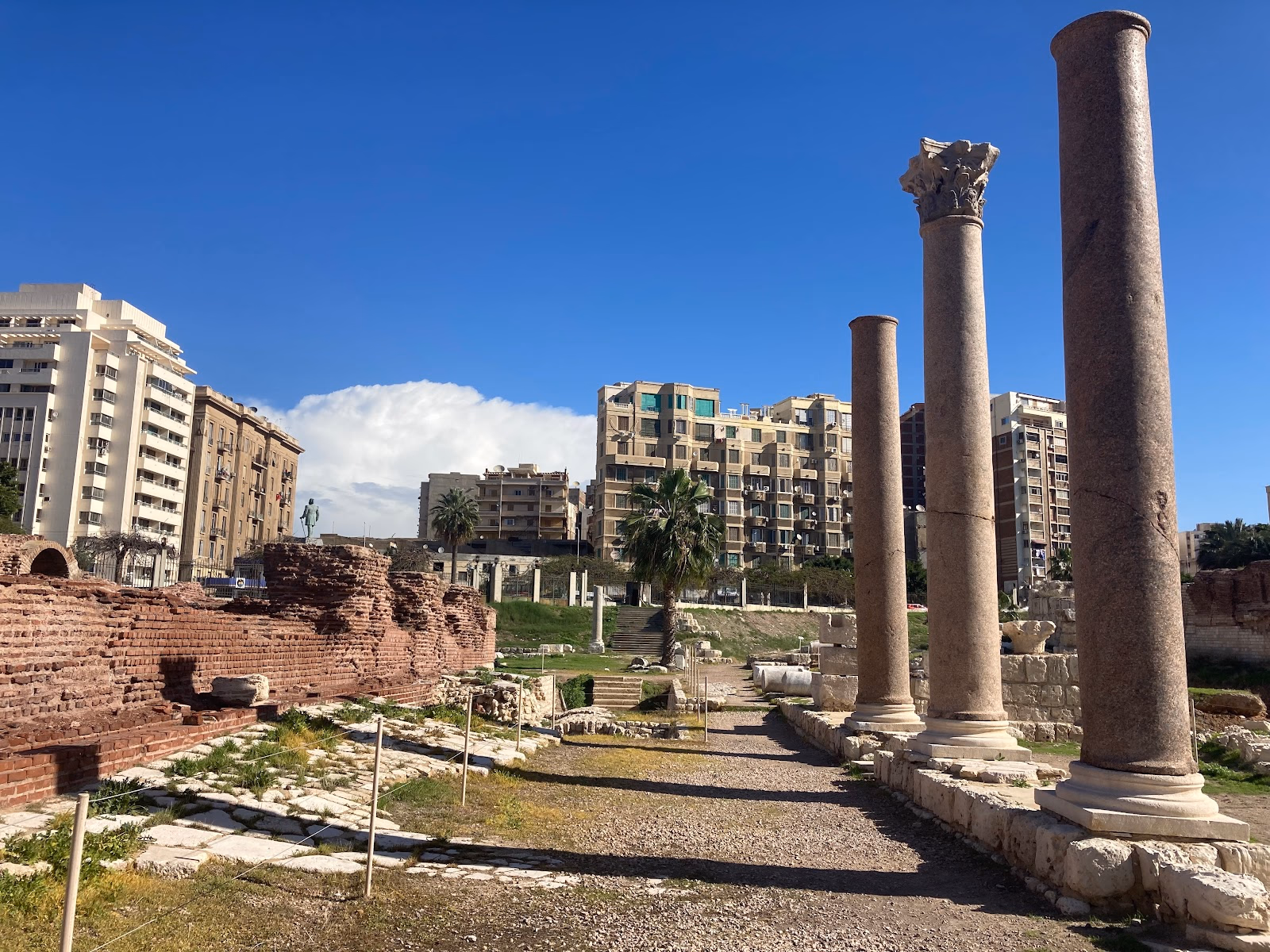 Discover the Treasures of Kom el-Dikka