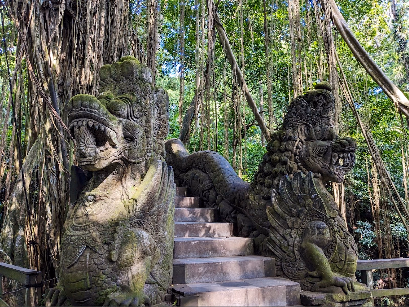Playful Encounters in the Monkey Forest