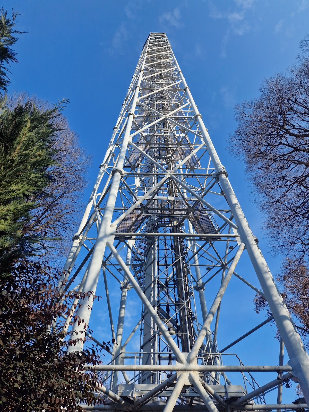 Ascend the Branca Tower for Breathtaking City Views