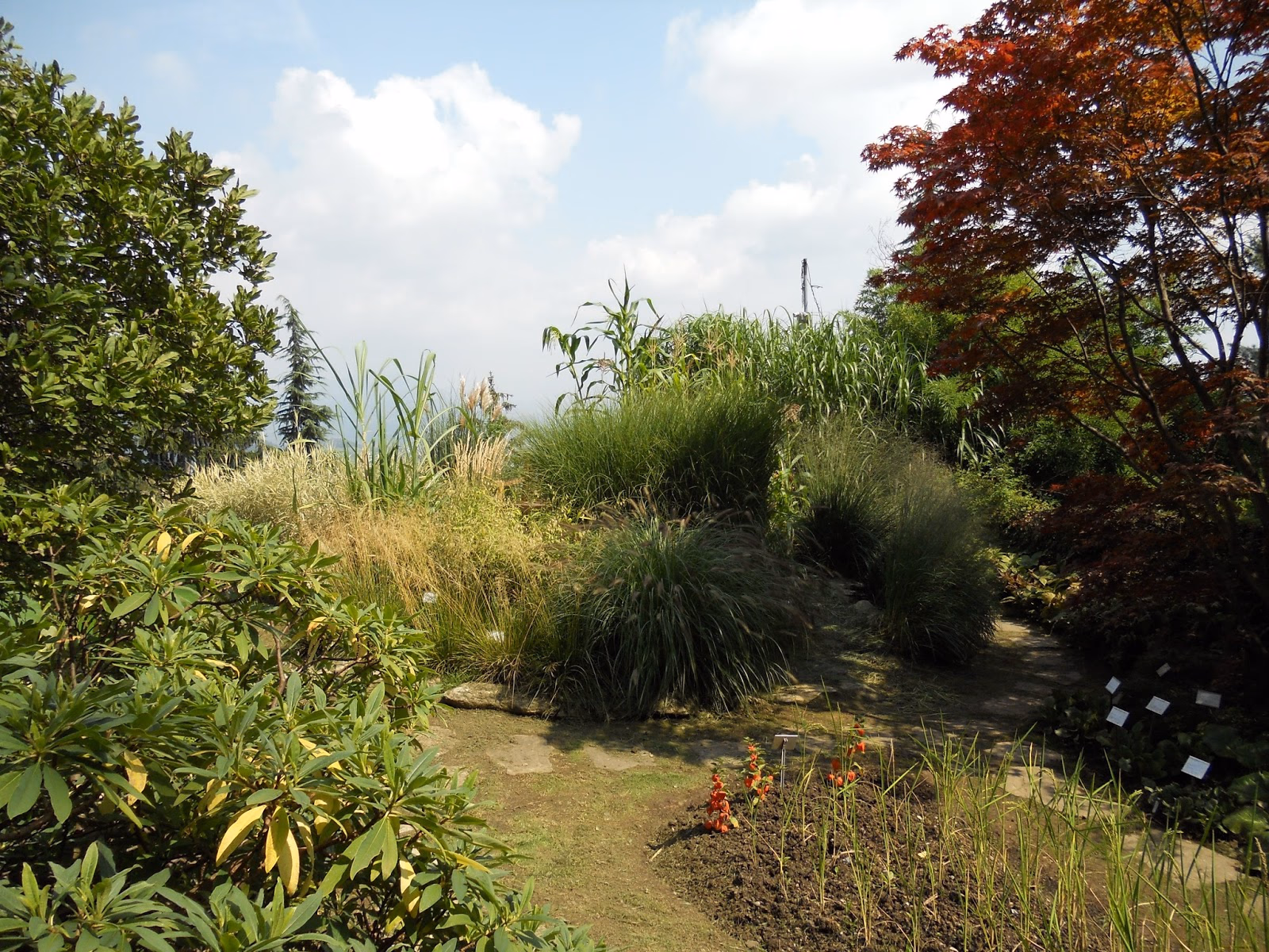 Discover the Diversity of Bergamo's Botanical Garden