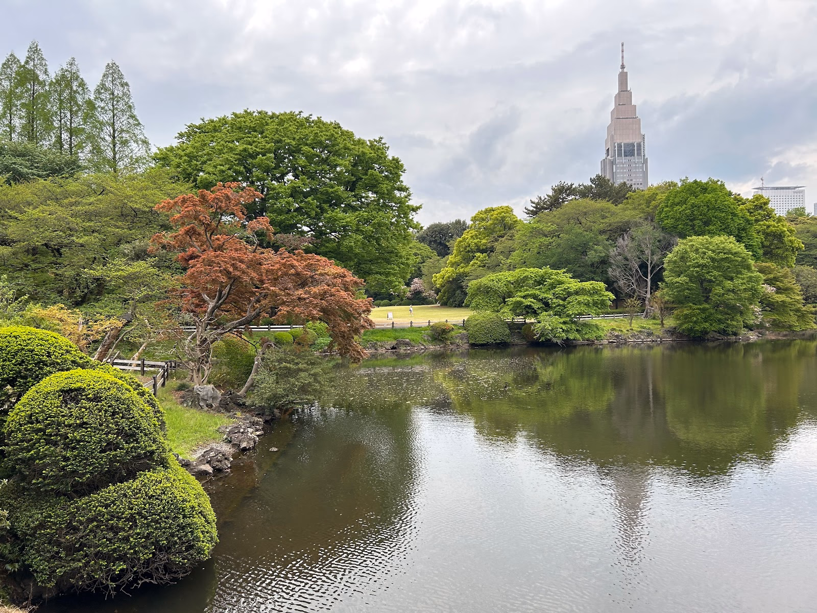 Escape the City Bustle in Shinjuku Gyoen National Garden