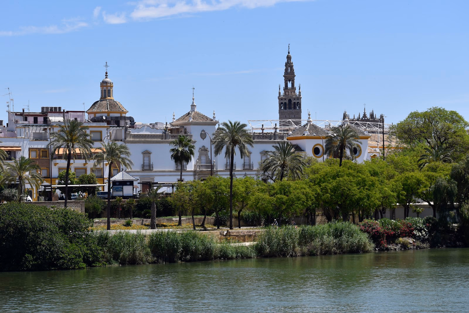 Embrace the Guadalquivir River from a Unique Perspective
