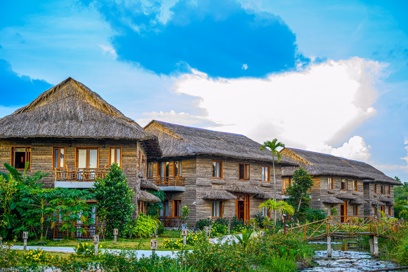 Master the Art of Vietnamese Cuisine