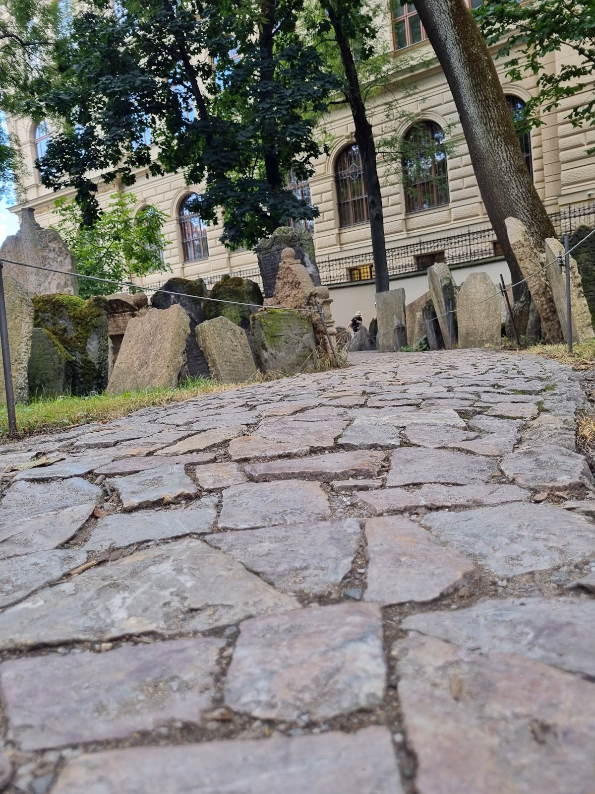 Learn About Prague's Jewish Community