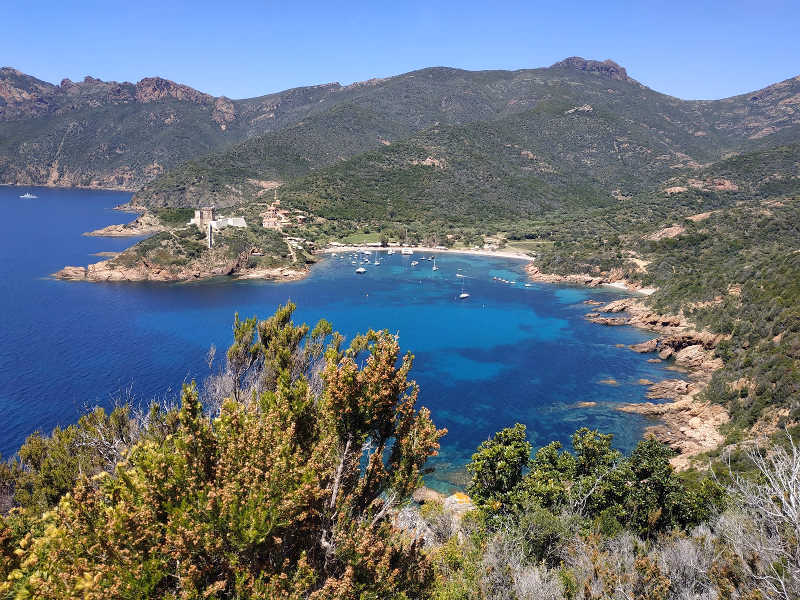 Explore the Gulf of Girolata and the Scandola Reserve