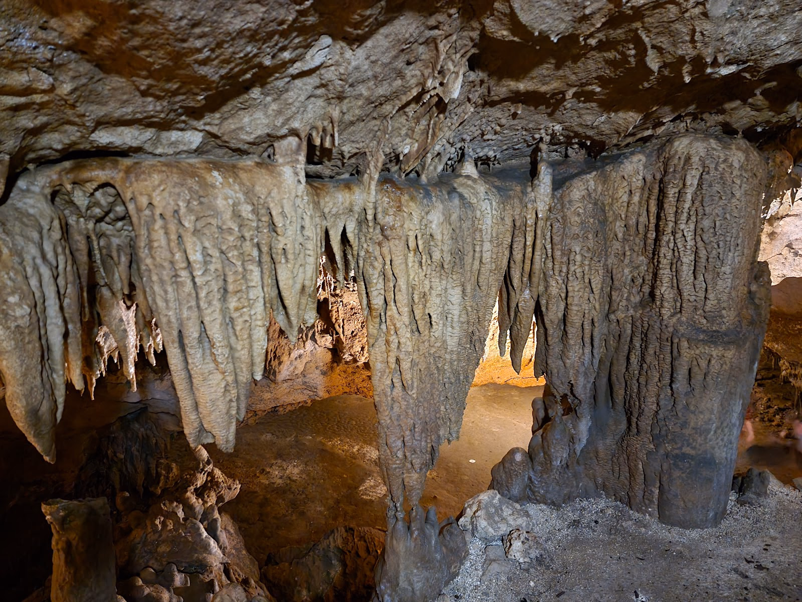 Uncover Florida's Ancient Wonders