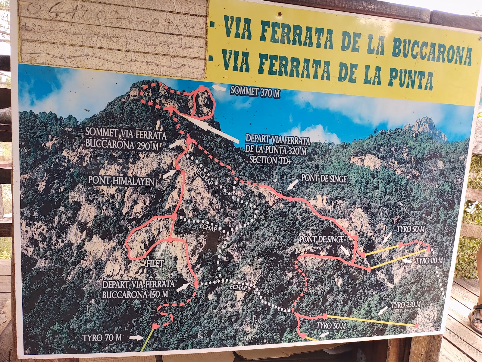 Experience the Thrill of Rope Courses and Ziplining