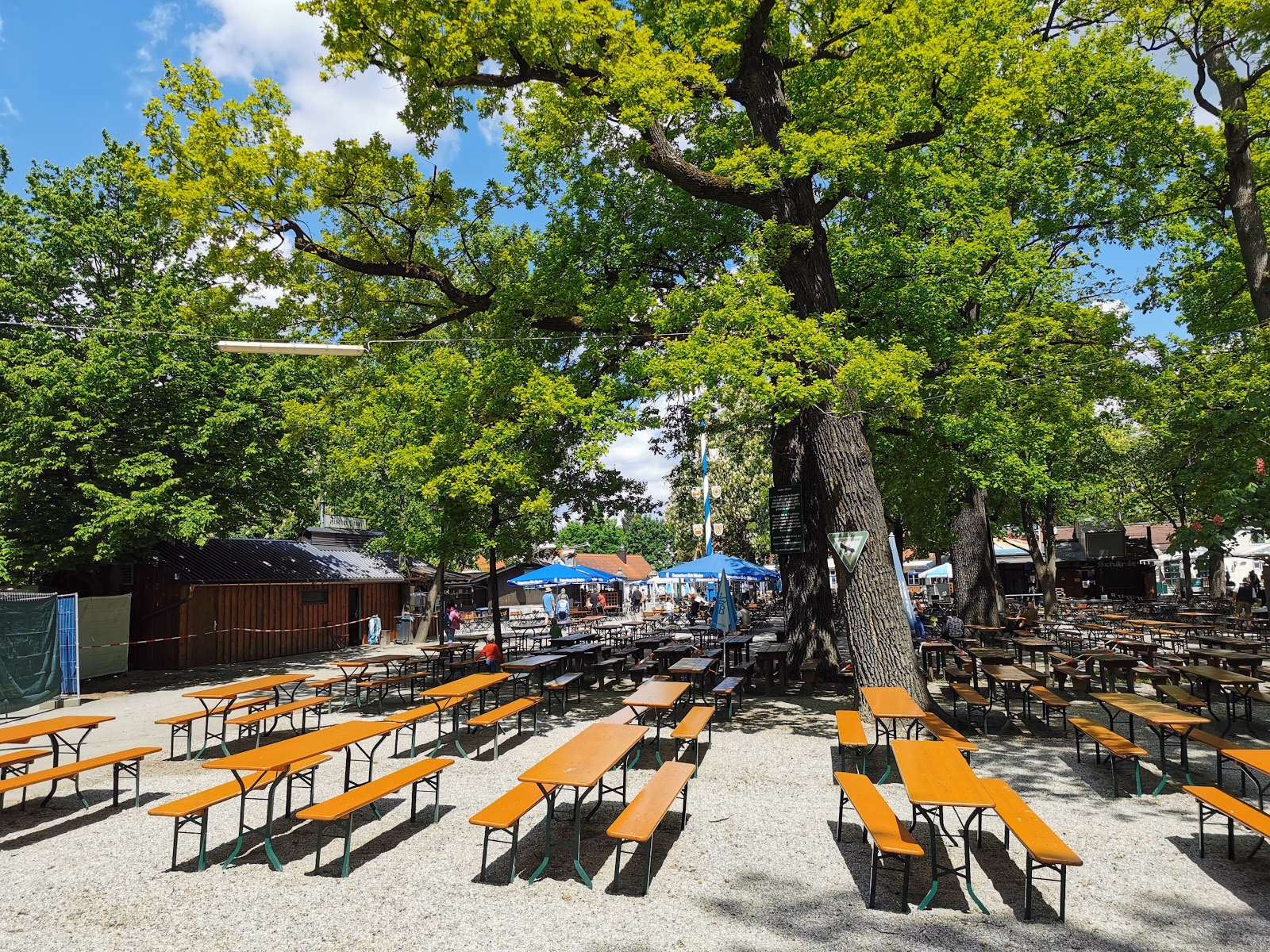 Enjoy a Beer Garden Experience with Deer at the Hirschgarten