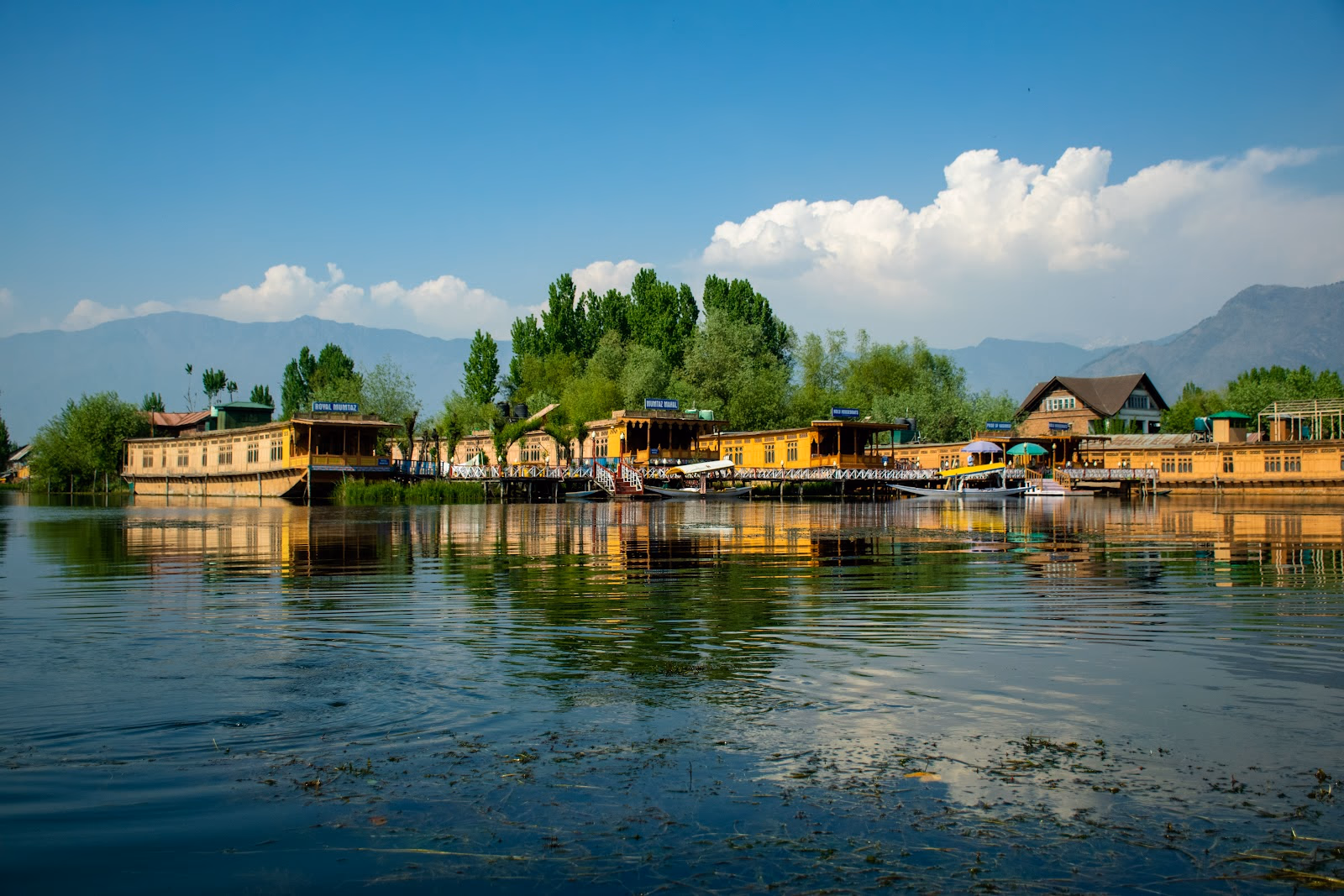 Glide Through Dal Lake's Serenity