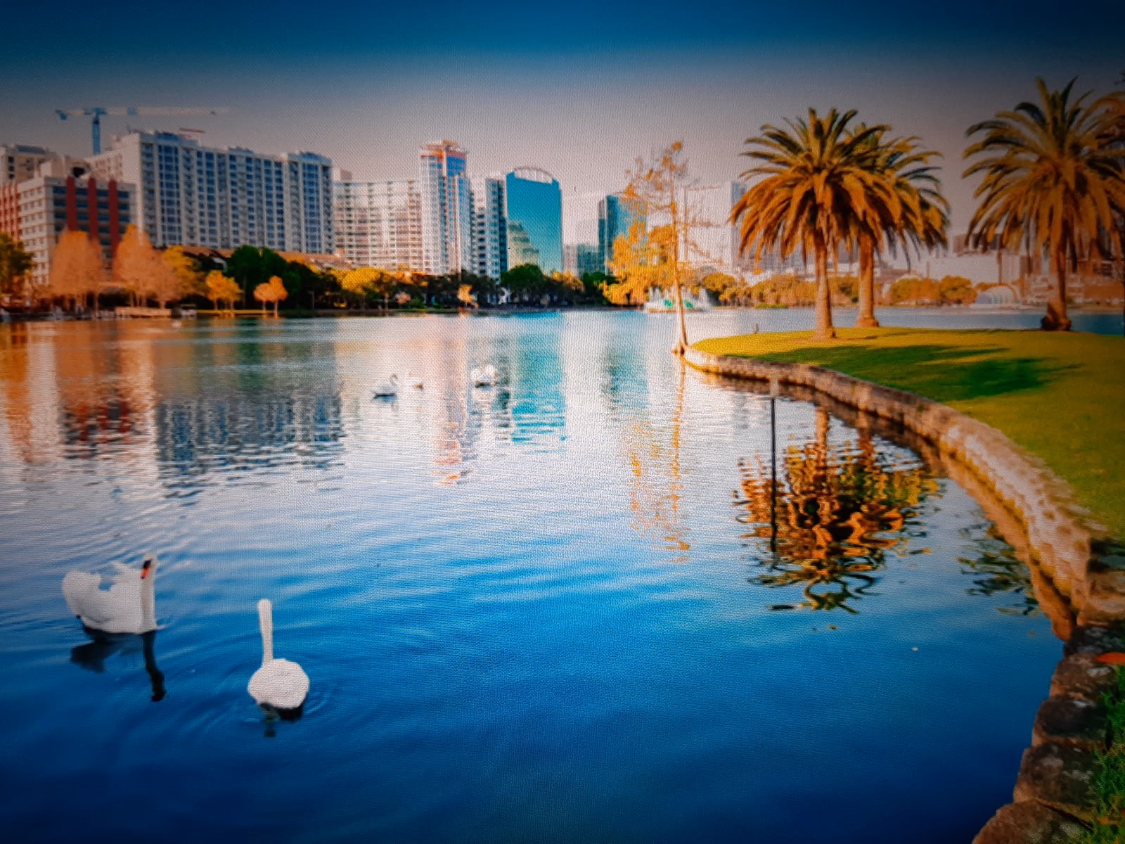 Explore Orlando's Theme Parks