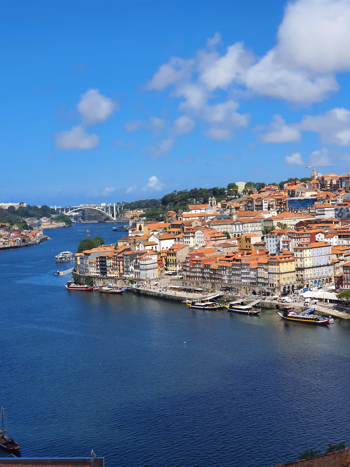 Wander the Charming Streets of Porto's Historic Center