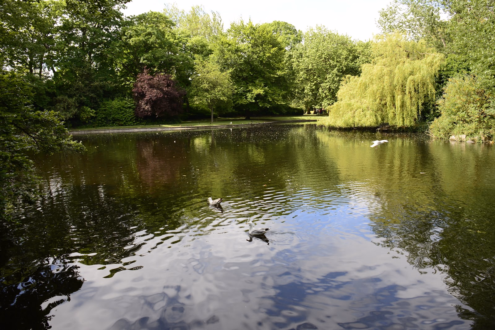 Relax in St. Stephen's Green