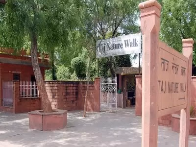 Find Tranquility on the Taj Nature Walk