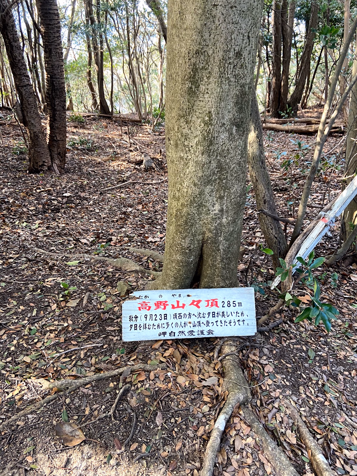 Discover the Serenity of Mount Koya