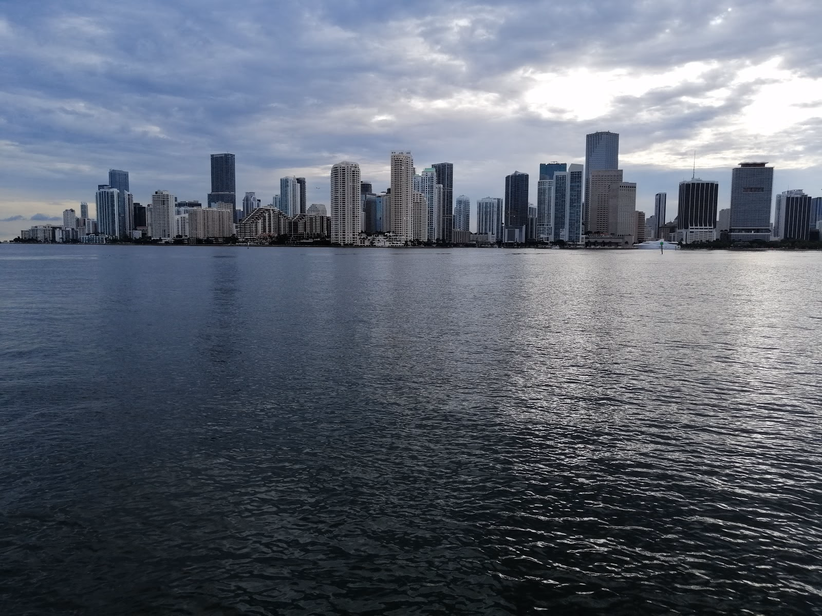 Cruise Along Miami's Waterfront