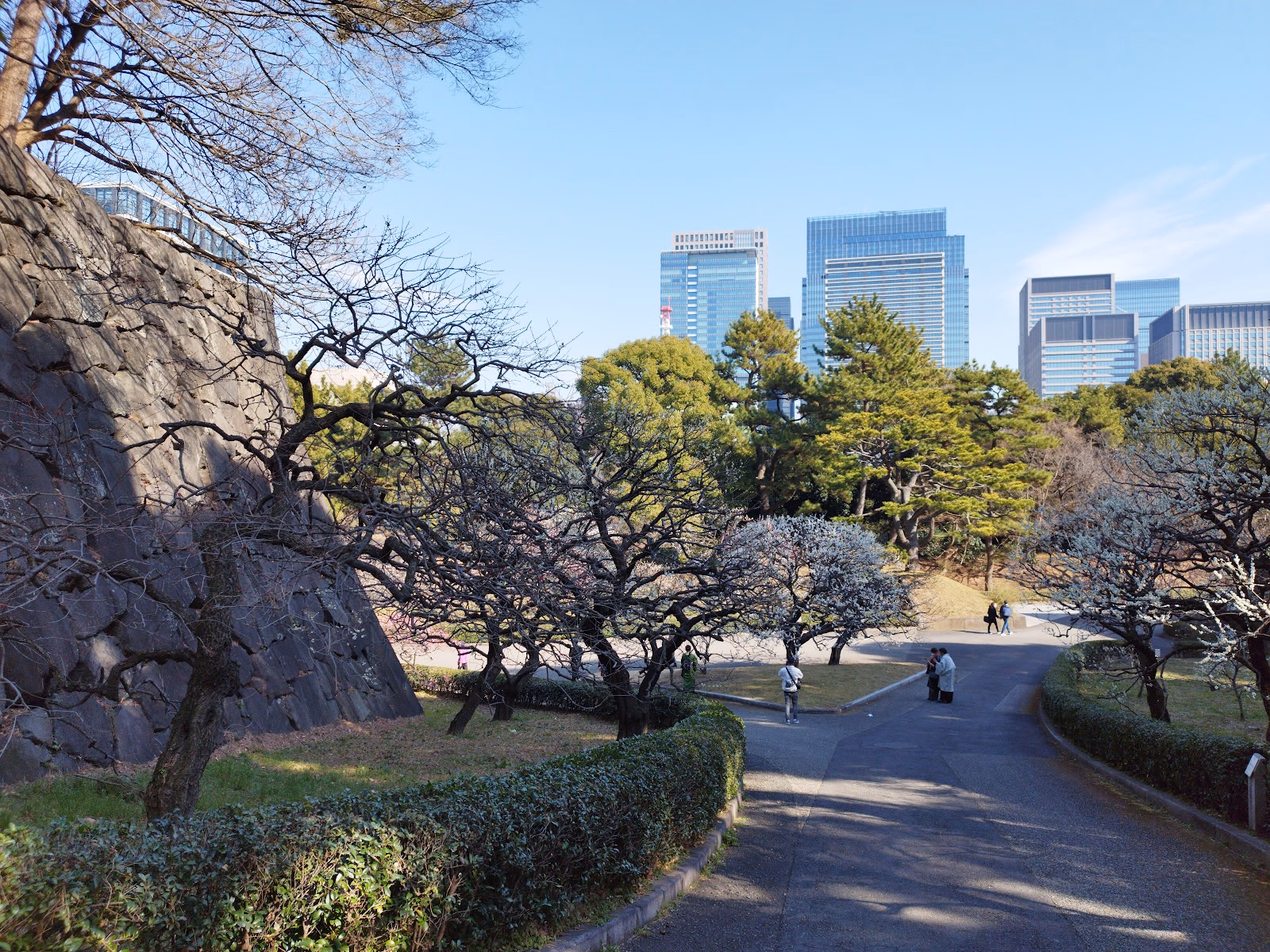 Explore the Picturesque East Gardens of the Imperial Palace