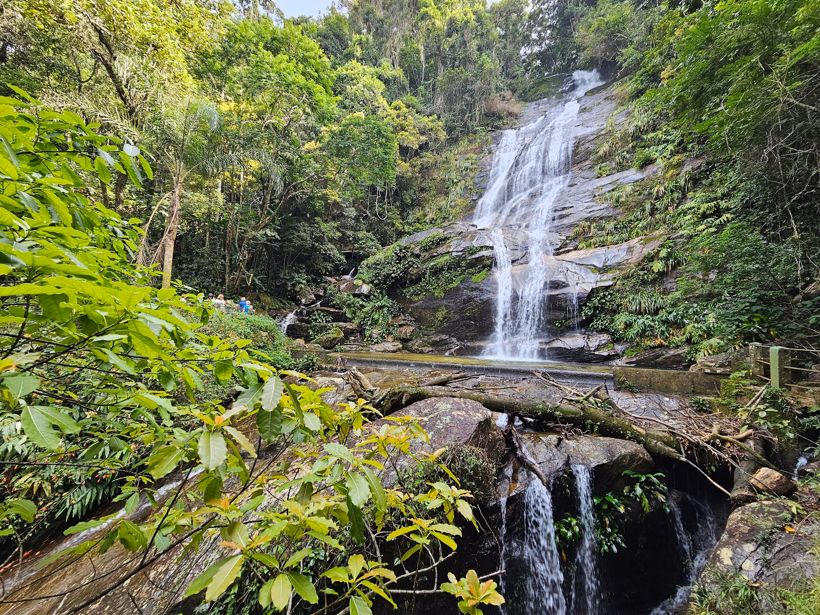 Enjoy a Hike in Tijuca Forest