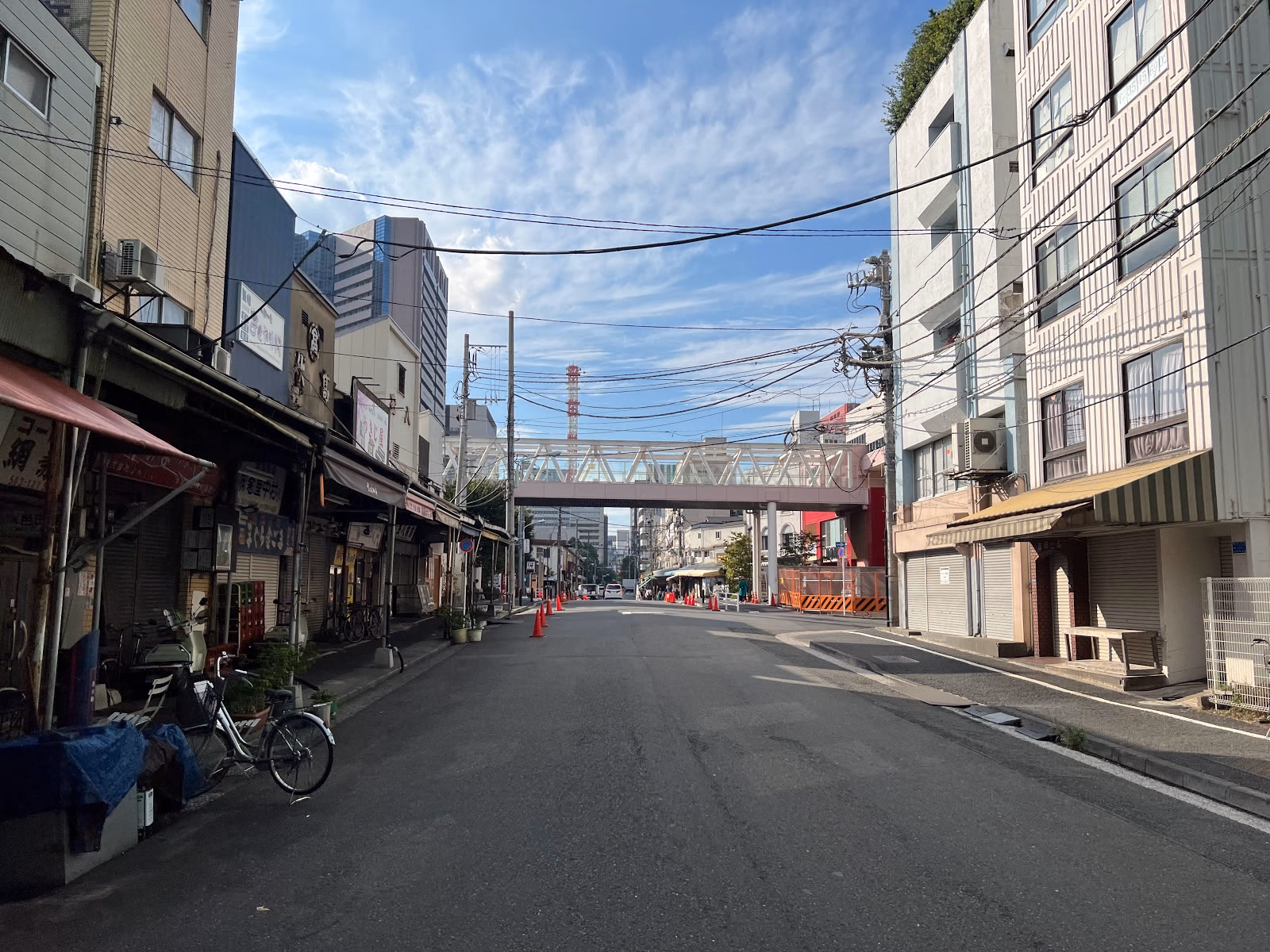 Experience the Vibrant Atmosphere of Tsukiji Outer Market