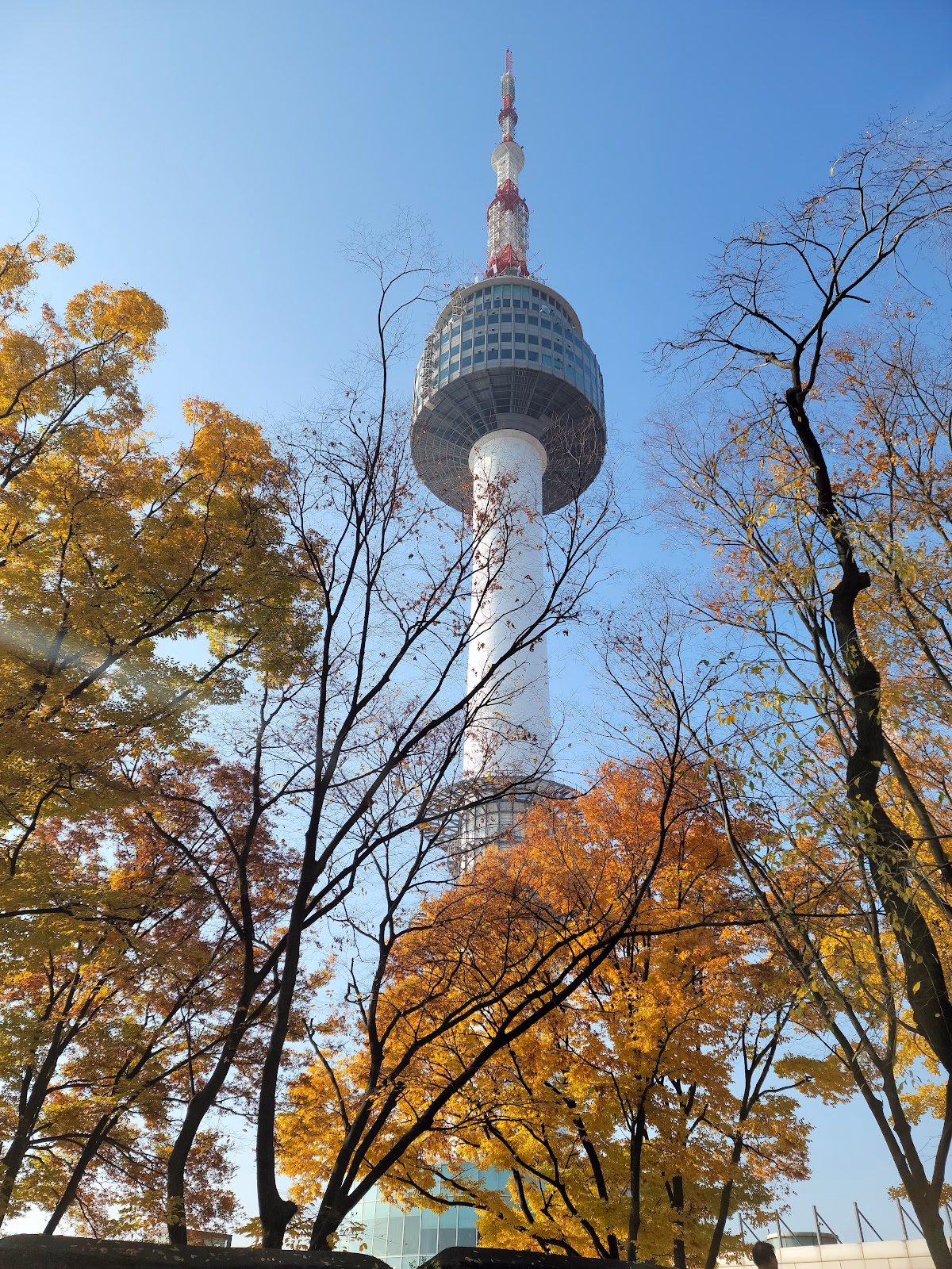 Enjoy Breathtaking Panoramic Views