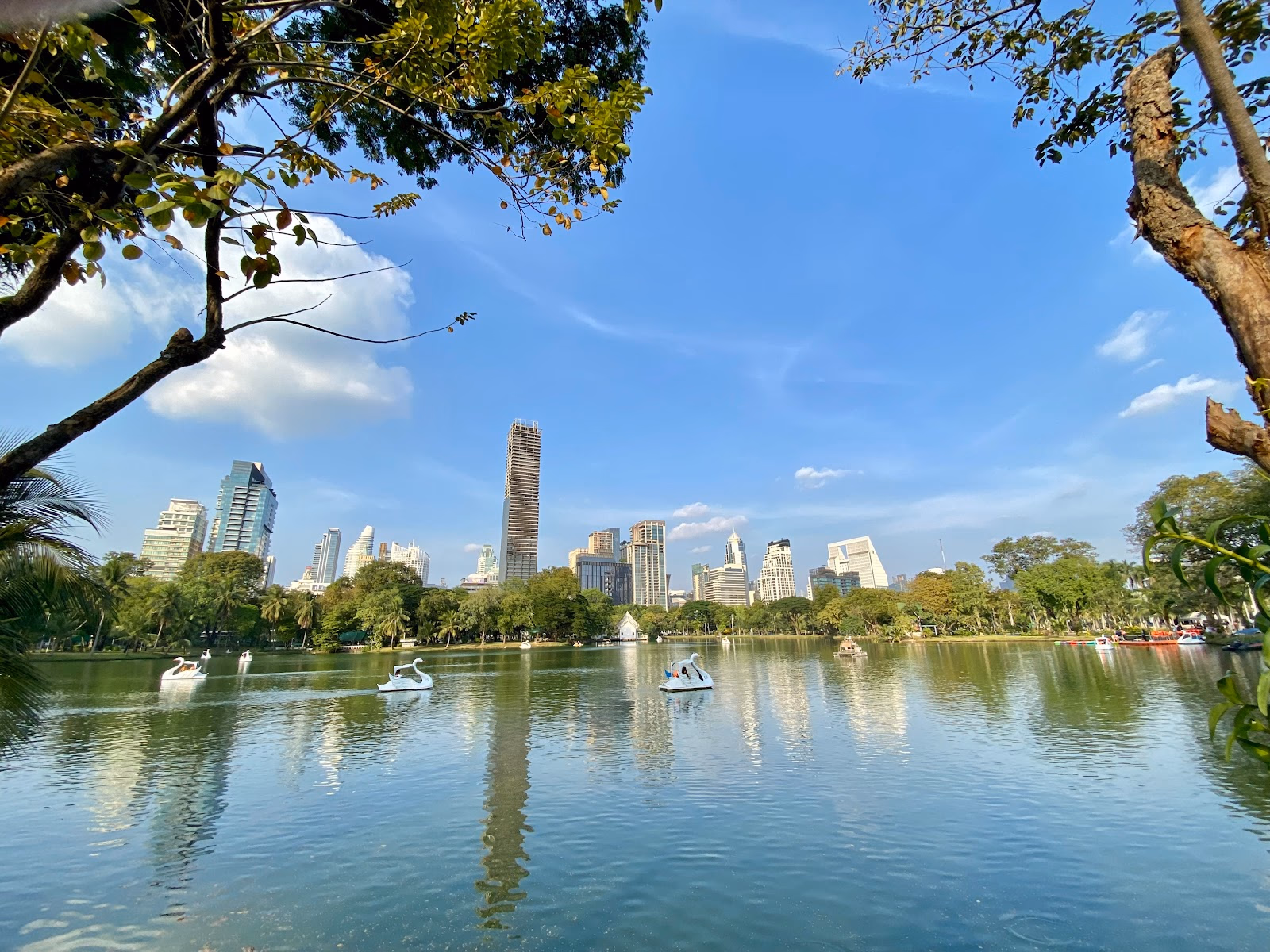 Relax and Enjoy the Serene Atmosphere of Lumpini Park