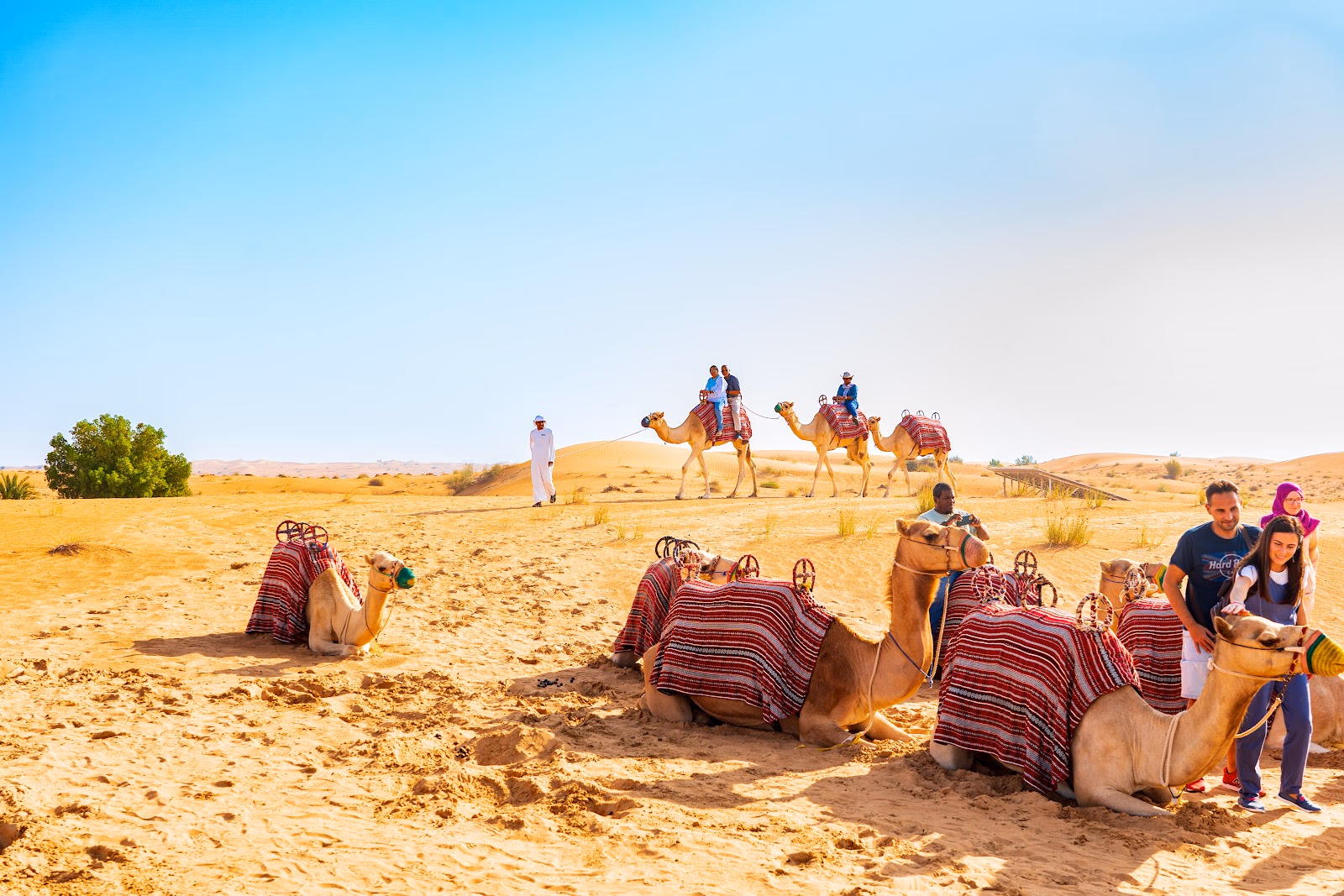 Embark on a Thrilling Desert Safari Adventure
