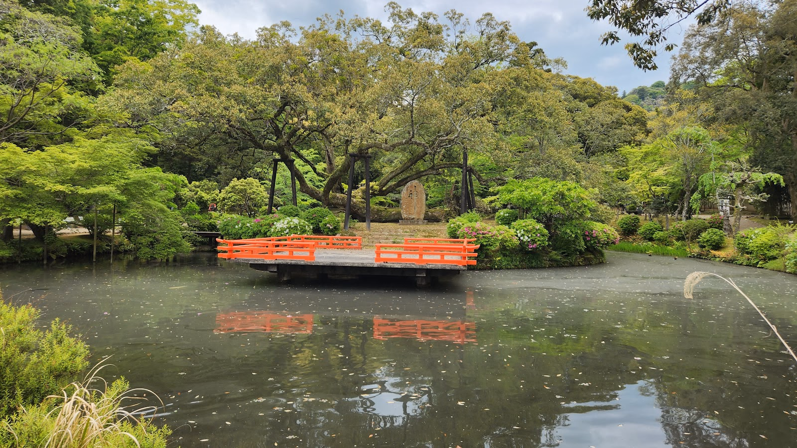 Admire the Beauty of Manyo Botanical Gardens