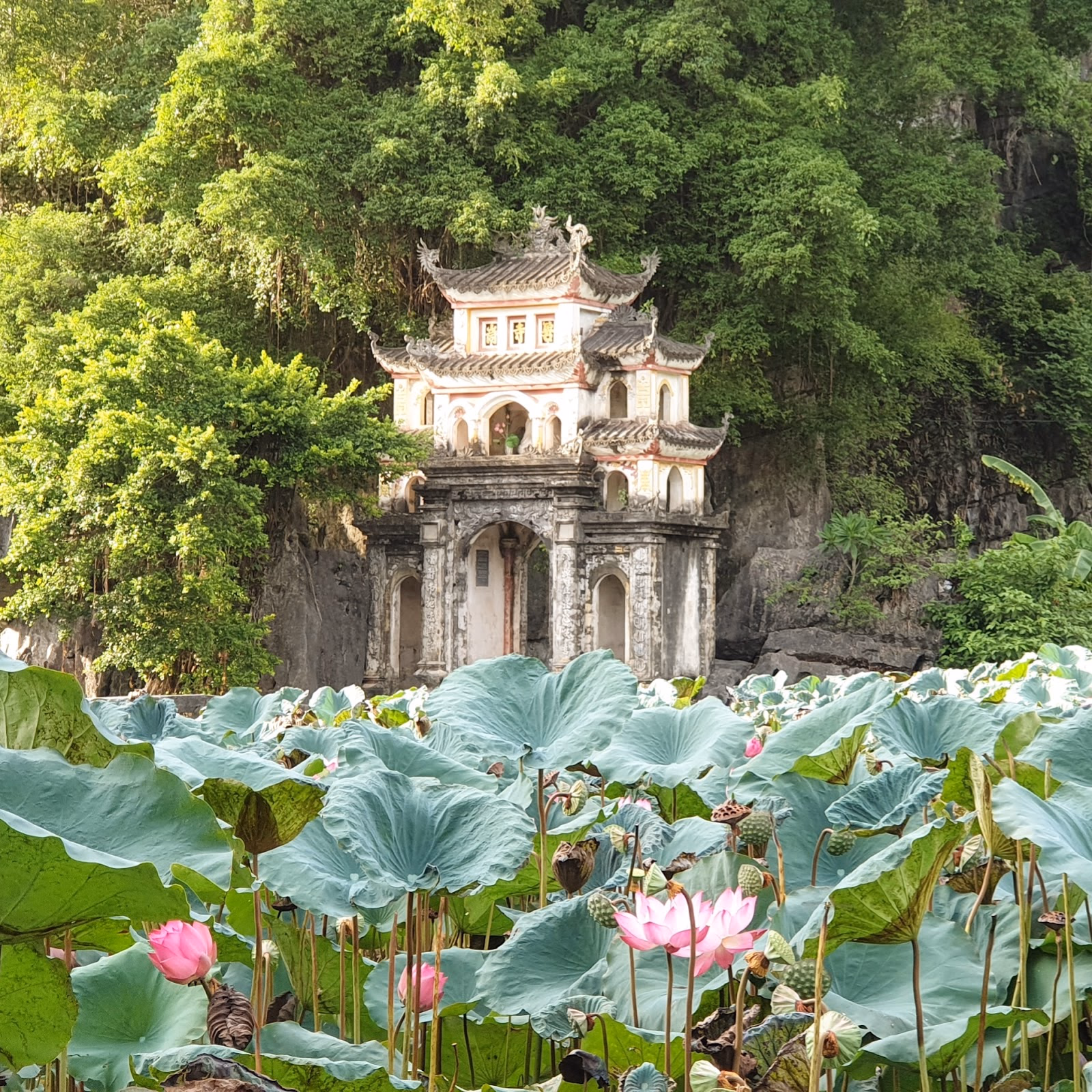 Find Serenity at Bich Dong Pagoda