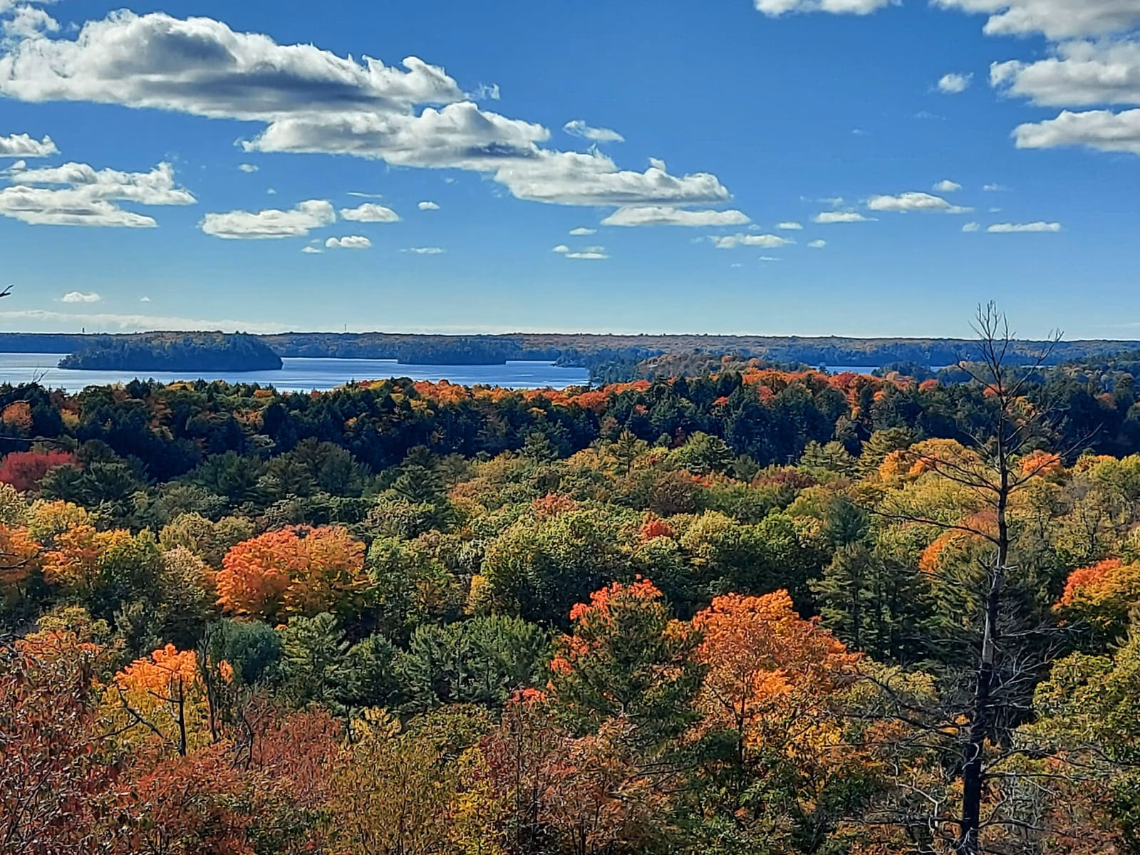 Hike the Huckleberry Rock Lookout Trail