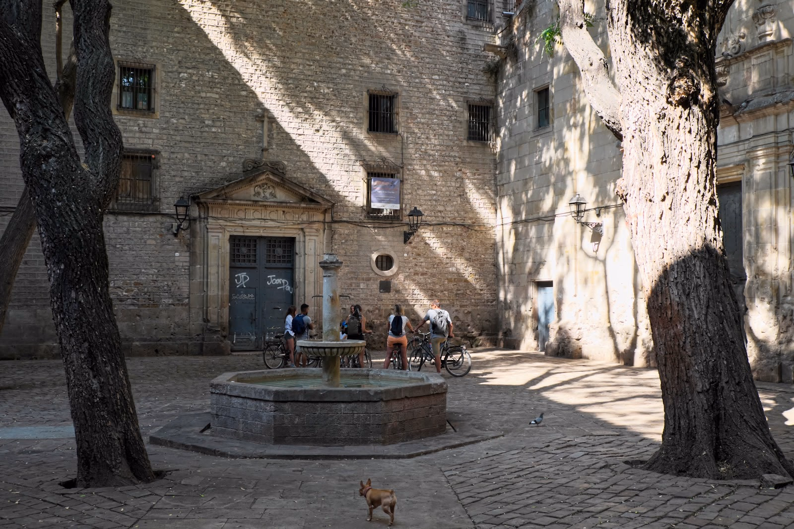 Wander Through Barcelona's Historic Heart: Gothic Quarter